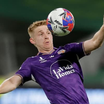 Mountain goat or lion? A-League coach's weird job pitch