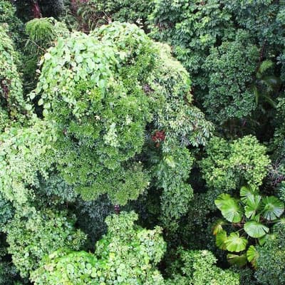 Zipline 'total failure' led to fatal fall for tourist