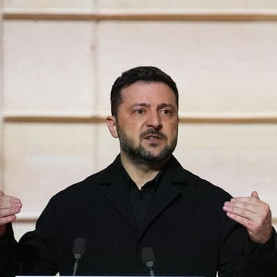 Plan vows free economic zone if Donbas ceded: Zelenskiy