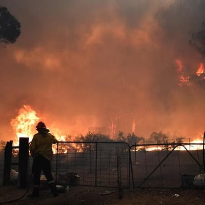 Urban sprawl fuels deadly fire risks on city outskirts