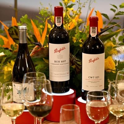 Penfolds owner's earnings sour on China 'grey' wine woe
