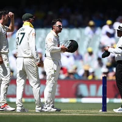 'Careers are on the line': cricket union blasts Snicko