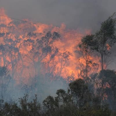 'True champion': tributes flow for firefighter killed