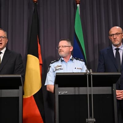 Review slammed amid calls for major probe into massacre