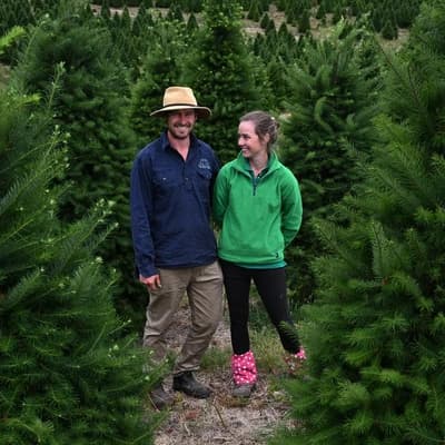 The farmer who spends 10 years preparing for Christmas