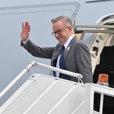 Expense scandal critics back MP travel perks crackdown