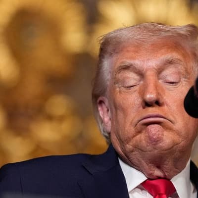 Trump flew on Epstein jet eight times in the 90s: email