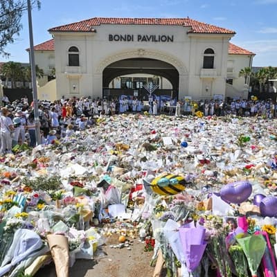 Man accused of praising Bondi attack had multiple guns