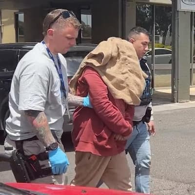 Alleged grinch charged over Christmas crimewave