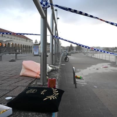 PM resists Bondi beach terror attack royal commission