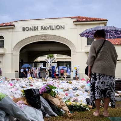 Minns won't lobby PM for national royal commission