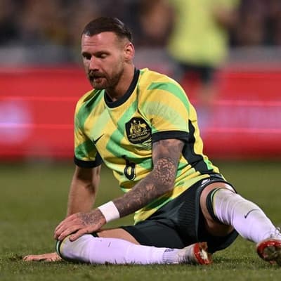 Socceroos striker suffers injury in Hibs' home win