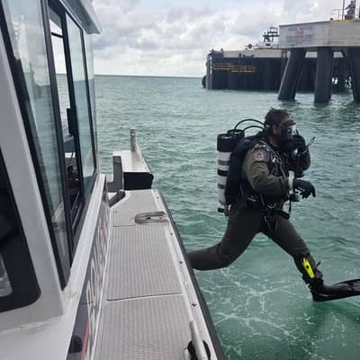 Search suspended for body seen floating in harbour