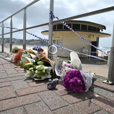 'Entitled to opinion': PM bats away latest inquiry call