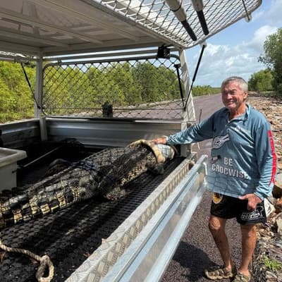 Crocodile caught in creek where children were swimming