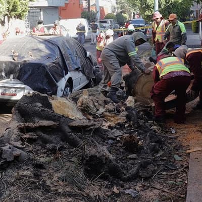 Two dead as powerful earthquake rocks Mexico