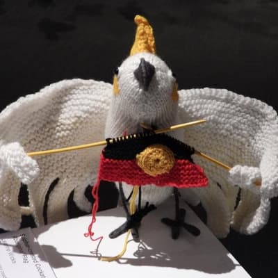 Birds of a feather knitted together by rural artist