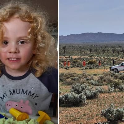 'Nothing off the table': update in grim search for boy