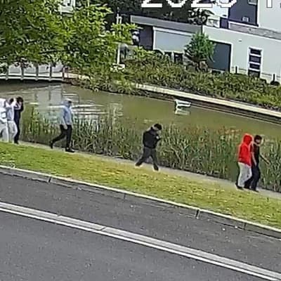 Twins traumatised by 'zombie killer' machete ambush