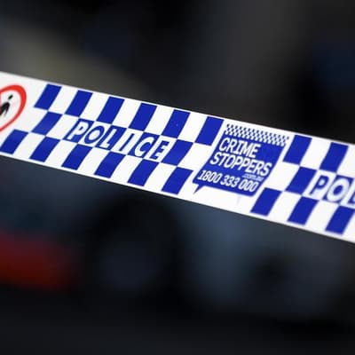 Grisly details of teen stabbing at party brawl revealed