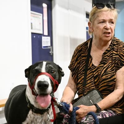 Fires evoke Black Saturday nightmares for survivors