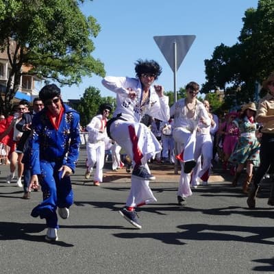 It's Elvis summer, as Aussie fans love the king tender