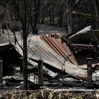 Bushfire losses mount as premier defends fleeing mob