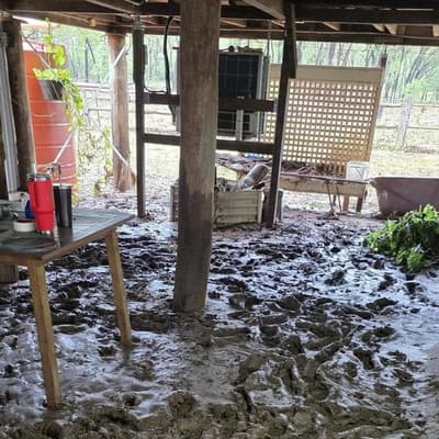 'Mud army' descends on town as flood clean-up begins