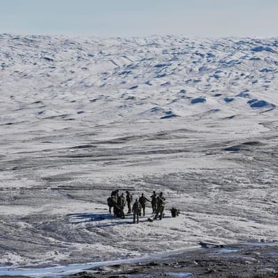 Greenland PM picks Denmark over US ahead of Vance meet