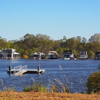 Alarm bells as Murray declared critically endangered