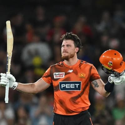 Scorchers' Allen blasts Renegades to secure finals spot