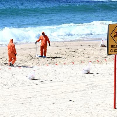 'Bloody good': funding tap turned on by 'poo balls'