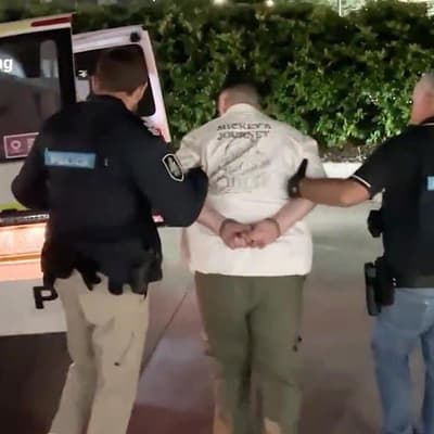 Police probe motive over pipe bombs in the park