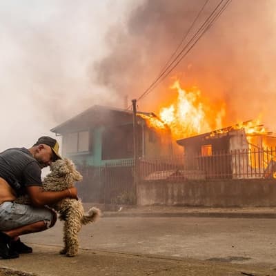 Chile declares state of catastrophe after deadly fires