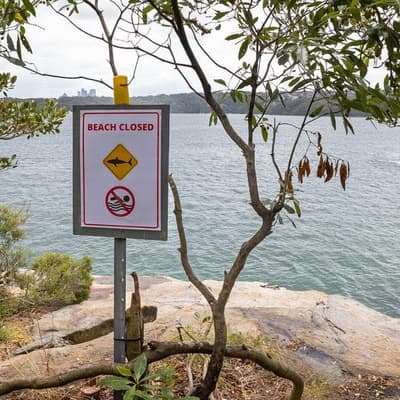 Beaches closed after third shark attack in two days