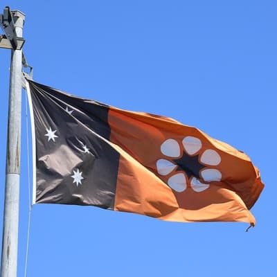 Social media posts muddy appointment of administrator