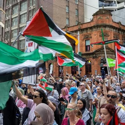 Why London is shaping Sydney's protest slogan debate