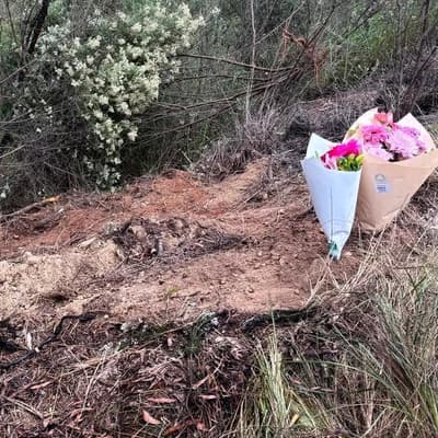 Mother, child killed in horror head-on highway crash