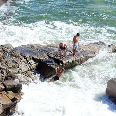 Swimmers face deadlier threat than rising shark attacks