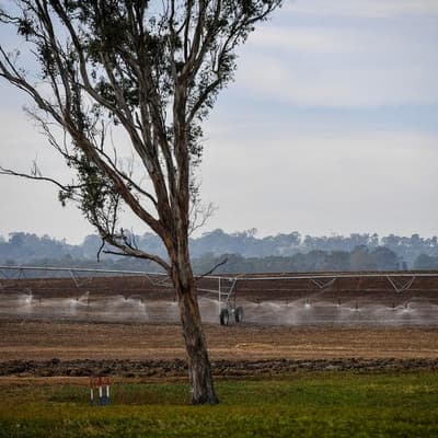 Dam-ed if you do: crackdown on illicit water supplies