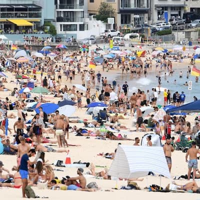 Beaches set for holiday reopening after shark attacks