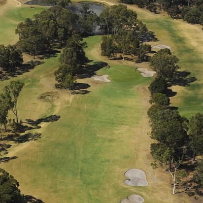 Praise for quick-thinking pilot who aced golf landing