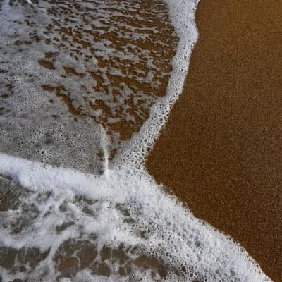 Search to resume for missing 12-year-old swimmer