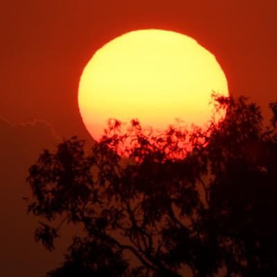 Towns deserted as locals seek relief from roasting heat