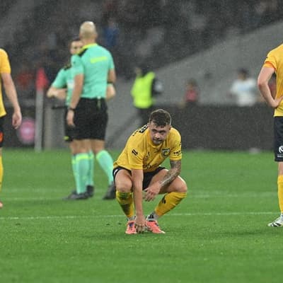 Multiple bidders in mix for Mariners licence: APL boss