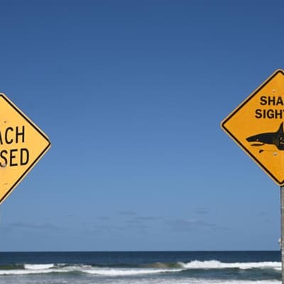 Fake news pages exploit backpacker death and shark attack victim