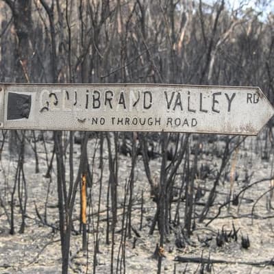 Funding lifeline for bushfire-ravaged towns