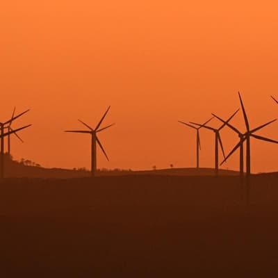 NZ govt’s claimed renewable energy record at odds with official data