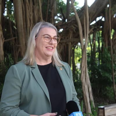 Laws for nation's toughest DV murder penalty introduced