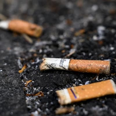 Butt it out: cigarettes dominate yearly litter count